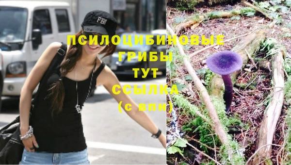 прущая мука Сатка