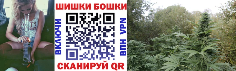 Конопля OG Kush  Кувандык 